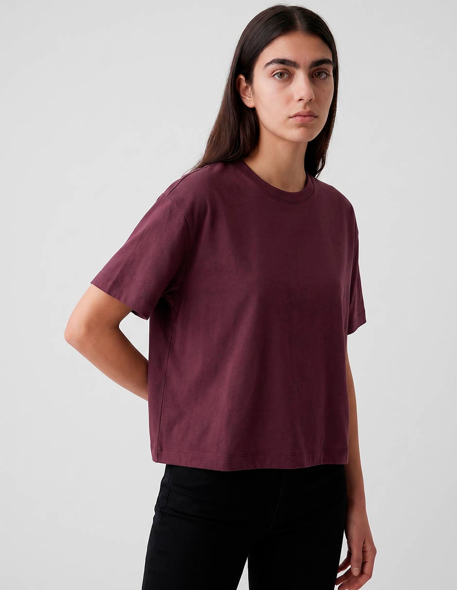 Vino 3